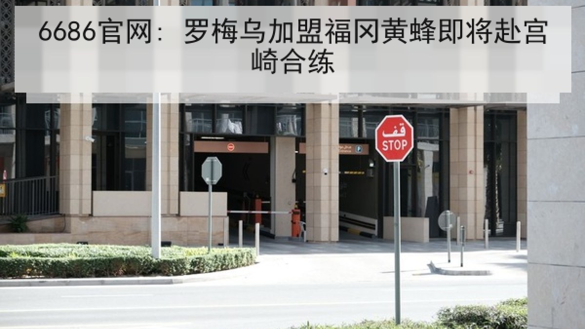 6686官网: 罗梅乌加盟福冈黄蜂即将赴宫崎合练