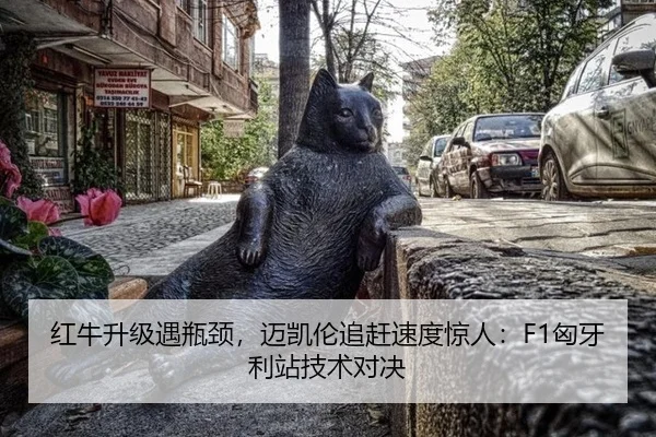 红牛升级遇瓶颈，迈凯伦追赶速度惊人：F1匈牙利站技术对决
