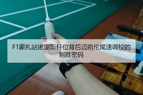 F1蒙扎站诺里斯杆位背后迈凯伦尾速调校的制胜密码
