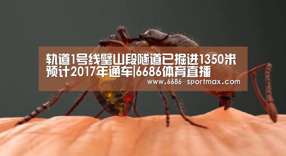 轨道1号线璧山段隧道已掘进1350米预计2017年通车|6686体育直播