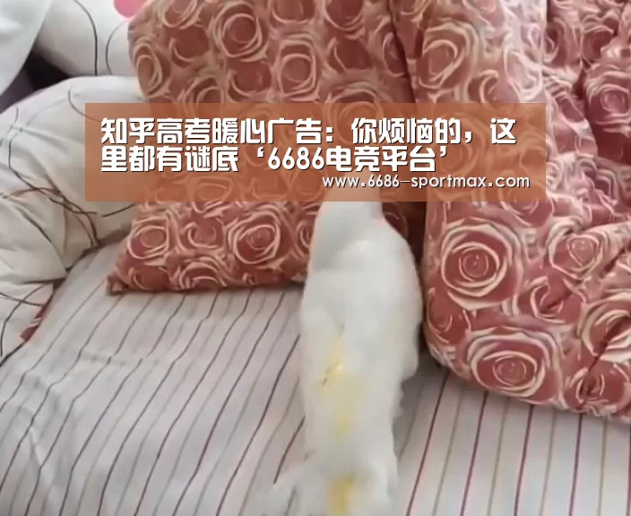 知乎高考暖心广告：你烦恼的，这里都有谜底‘6686电竞平台’