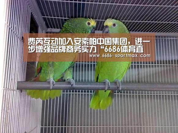 费芮互动加入安索帕中国集团，进一步增强品牌商务实力“6686体育直播”