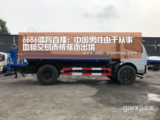 6686体育直播