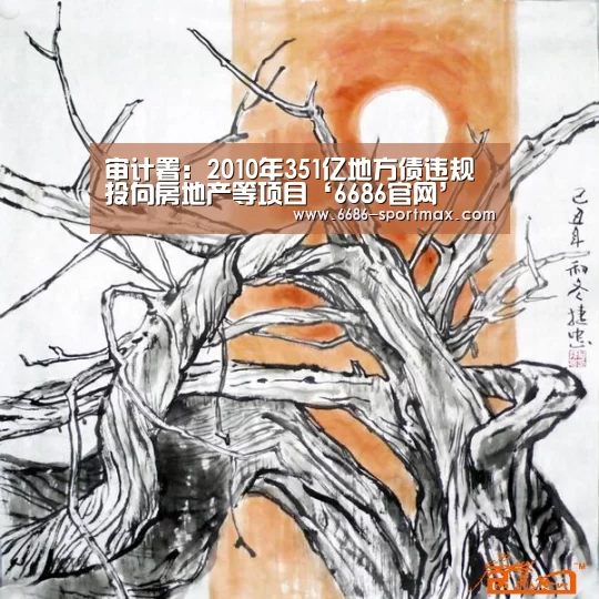 审计署：2010年351亿地方债违规投向房地产等项目‘6686官网’