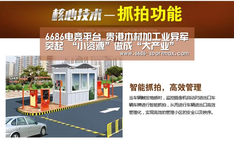6686电竞平台_贵港木材加工业异军突起 “小资源”做成“大产业”
